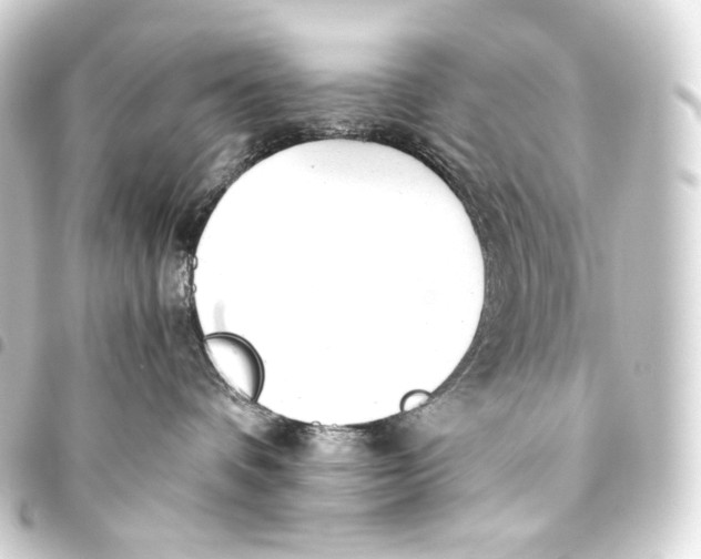 X0000093440336200711021058