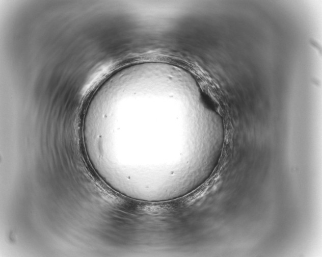 X0000093440341200711021058