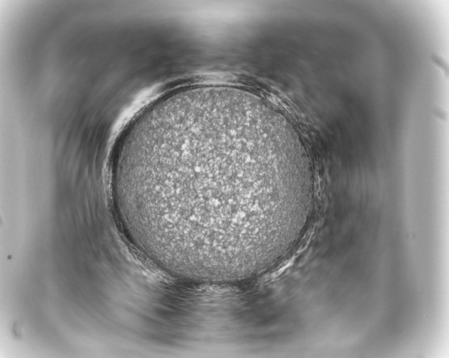 X0000093440343200711021058