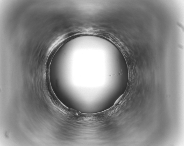 X0000093440344200711021058