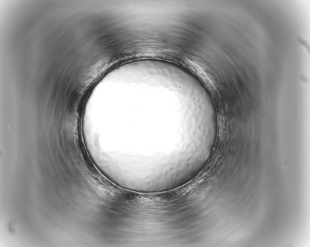 X0000093440346200711021058