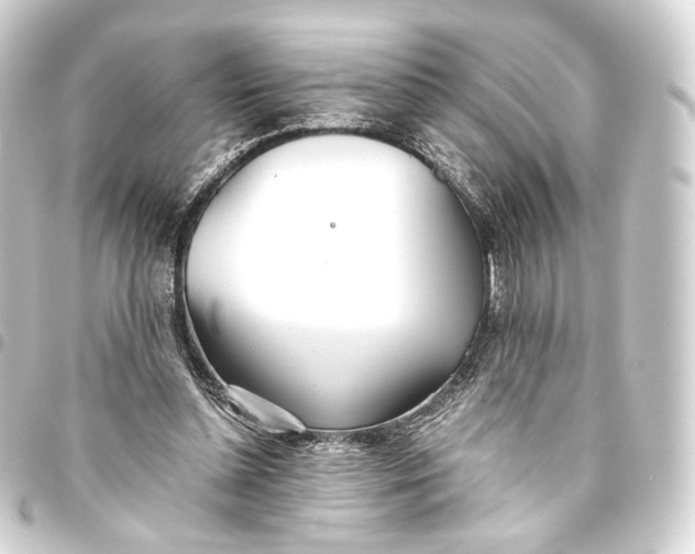 X0000093440348200711021058