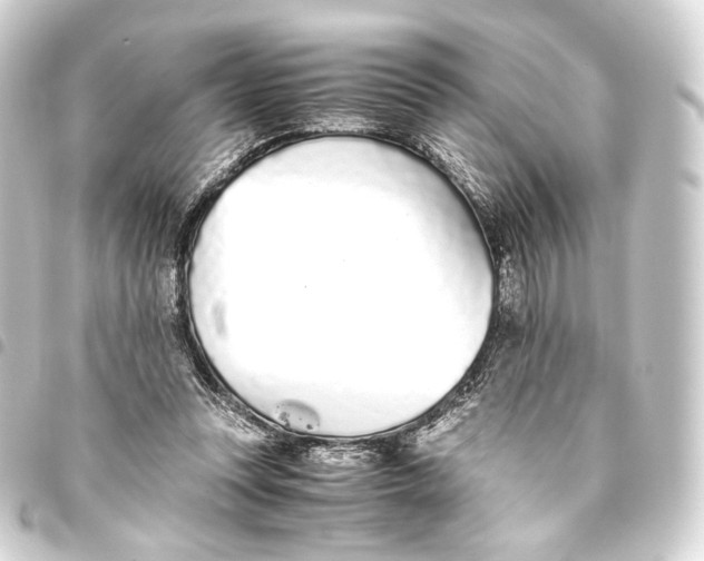 X0000093440351200711021058