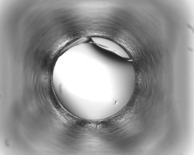 X0000093440352200711021058