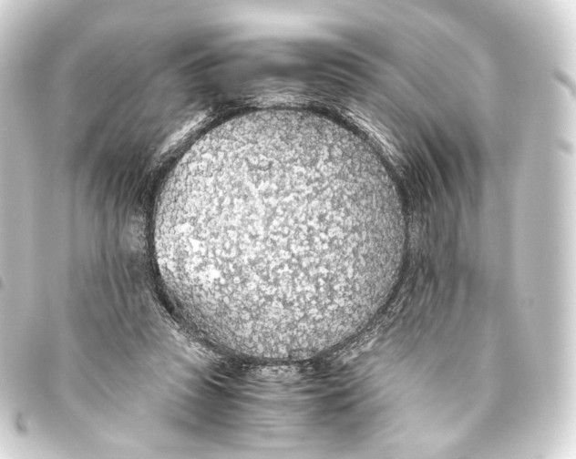 X0000093440353200711021058