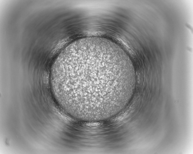 X0000093440357200711021058