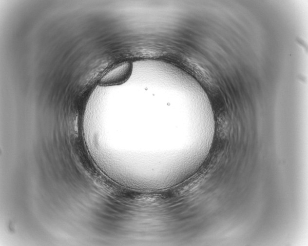 X0000093440358200711021058