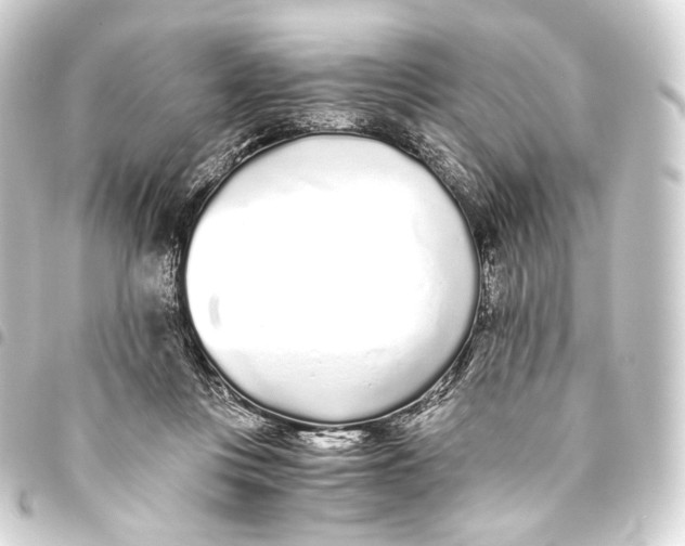 X0000093440359200711021058