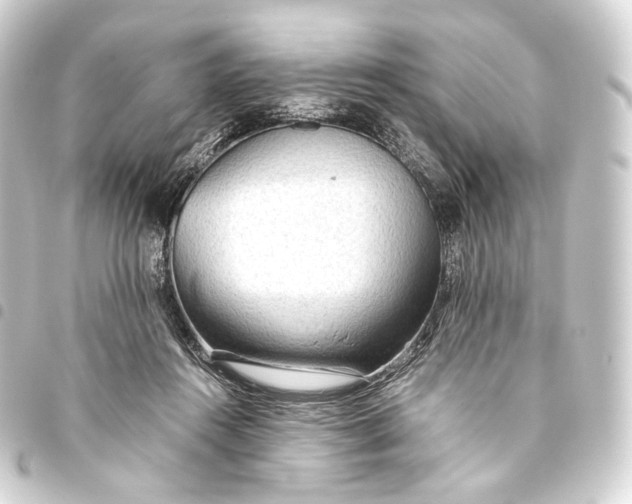 X0000093440360200711021058