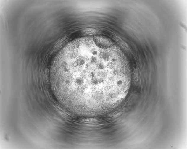 X0000093440361200711021058