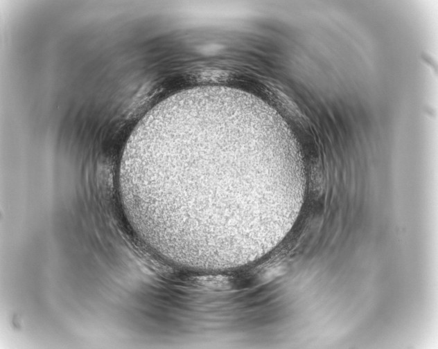 X0000093440363200711021058