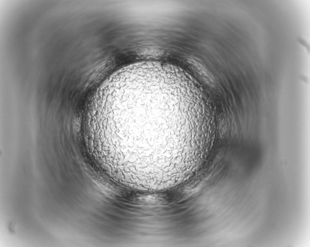 X0000093440365200711021058