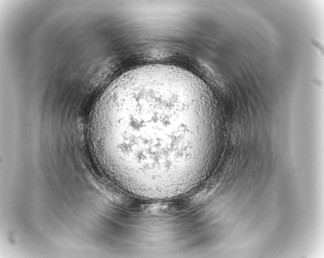 X0000093440366200711021058