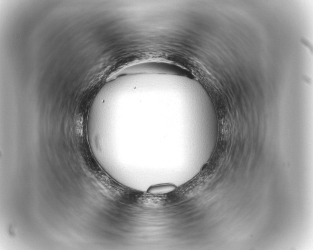 X0000093440368200711021058