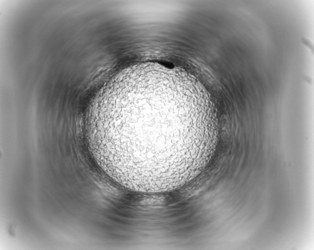 X0000093440369200711021058