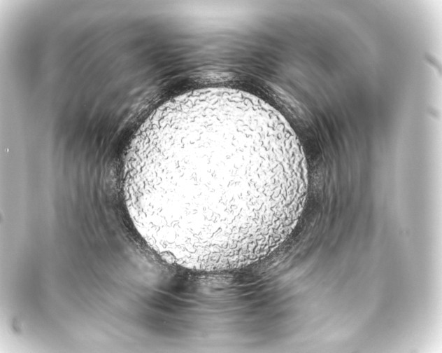 X0000093440373200711021058