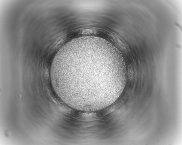 X0000093440375200711021058