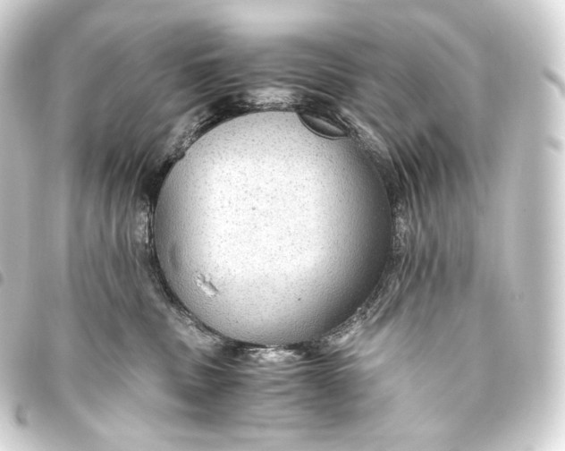 X0000093440379200711021058