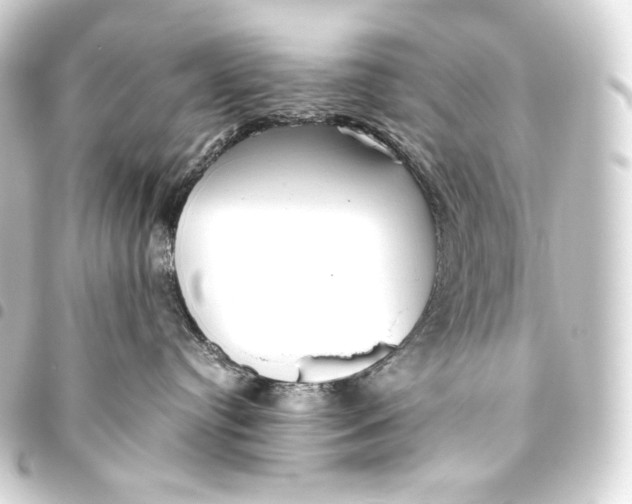 X0000093440384200711021058