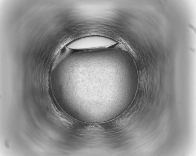 X0000093440386200711021058