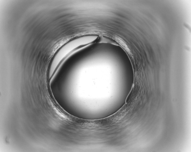 X0000093440389200711021058