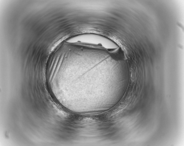 X0000093440390200711021058