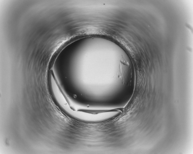 X0000093440391200711021058