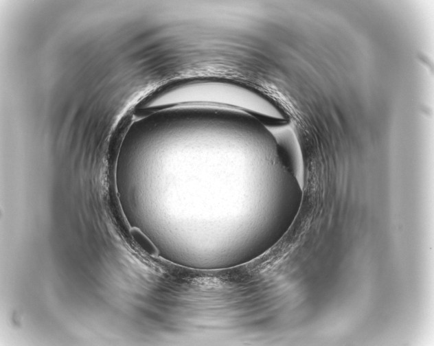 X0000093440392200711021058