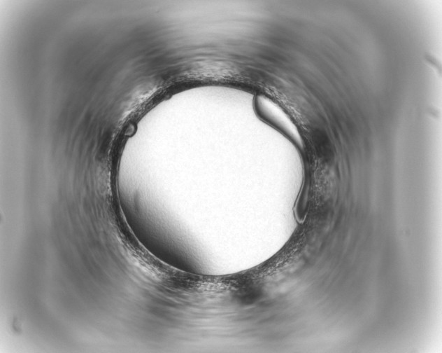 X0000093440399200711021058