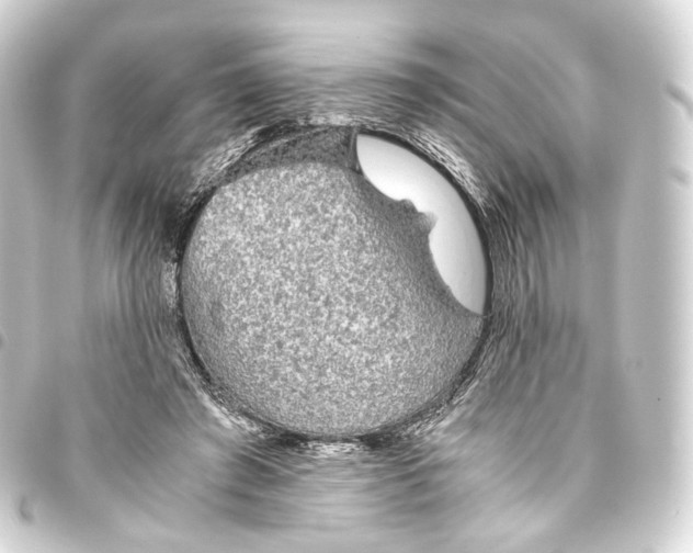 X0000093440401200711021058