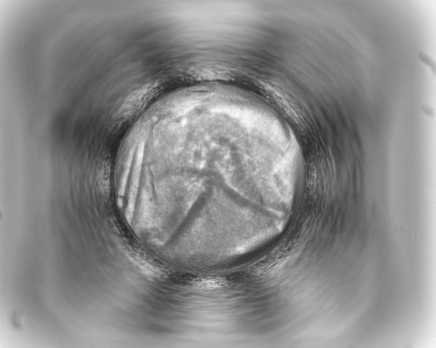 X0000093440402200711021058