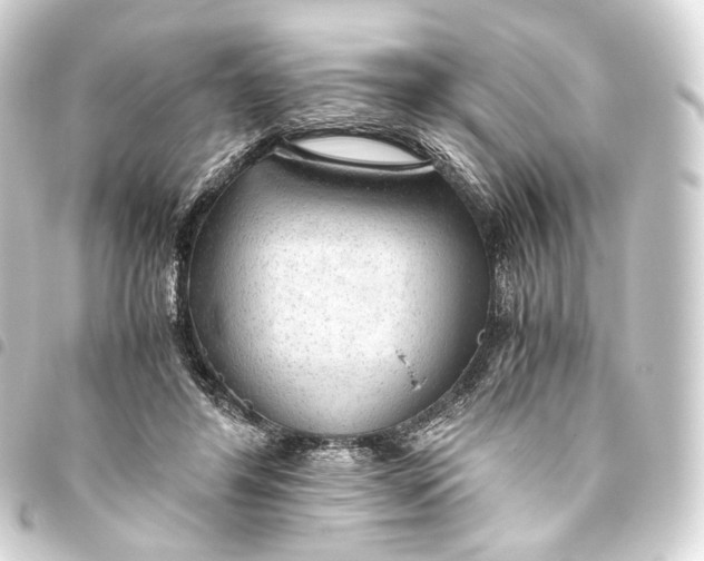 X0000093440404200711021058