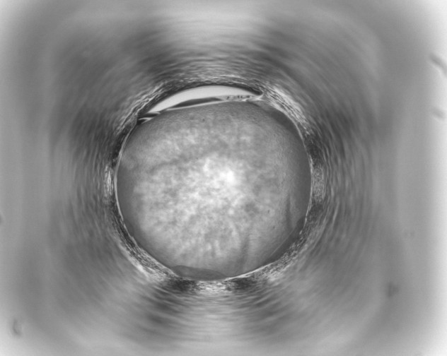 X0000093440405200711021058