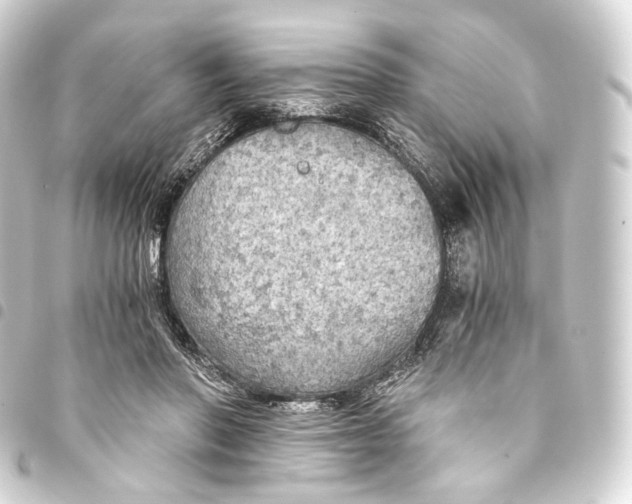 X0000093440406200711021058