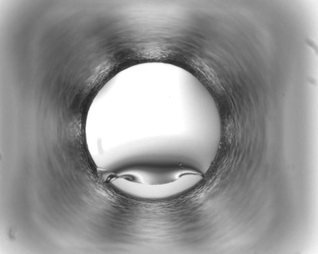 X0000093440407200711021058