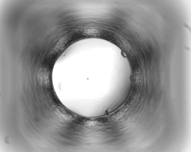 X0000093440408200711021058