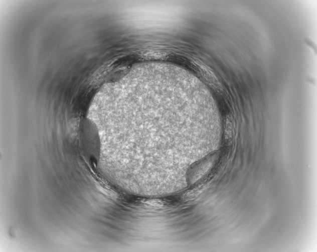 X0000093440409200711021058