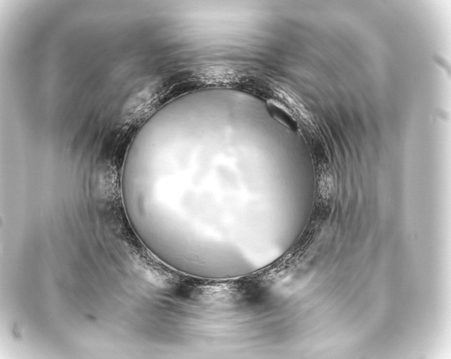 X0000093440411200711021058