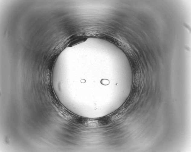 X0000093440413200711021058