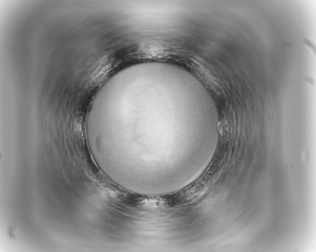 X0000093440415200711021058