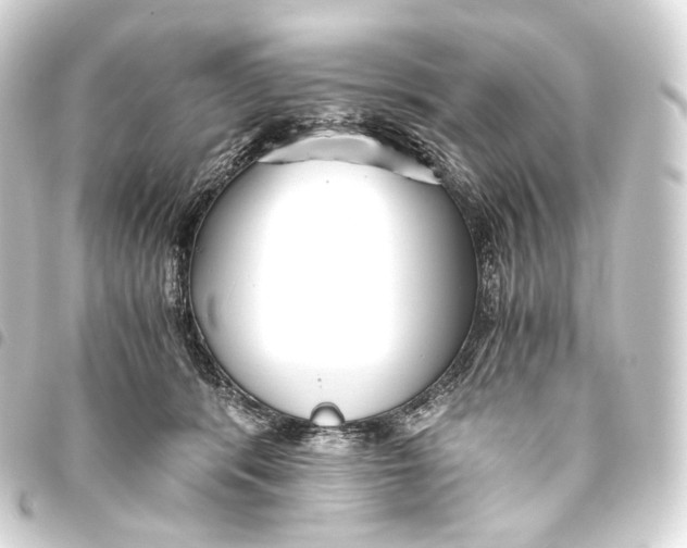 X0000093440416200711021058