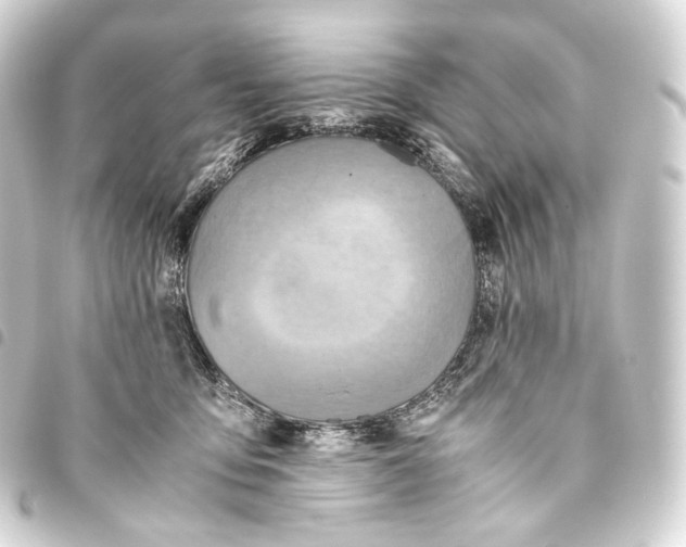 X0000093440419200711021058