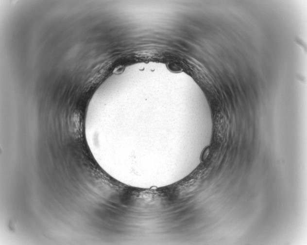 X0000093440420200711021057