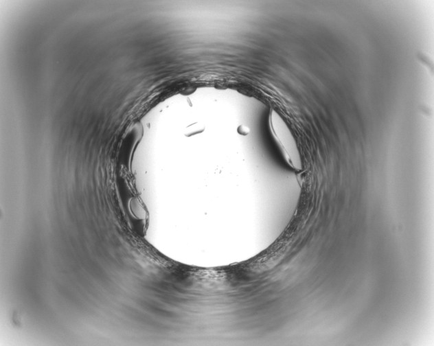 X0000093440421200711021057