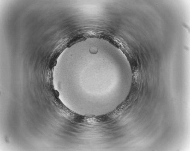 X0000093440423200711021057