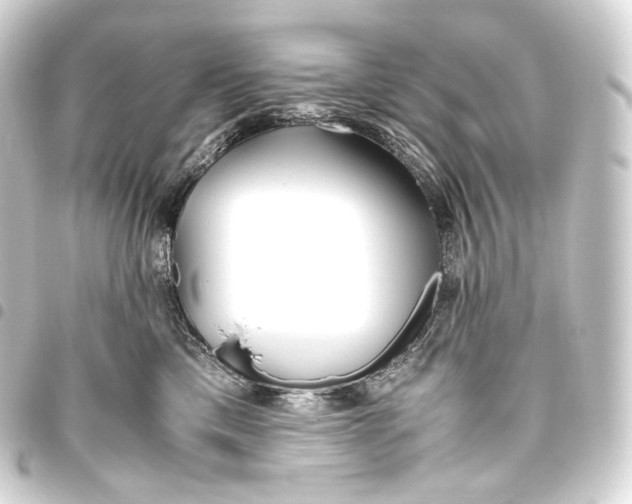 X0000093440425200711021057