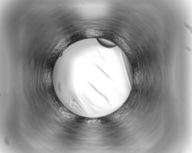 X0000093440426200711021057