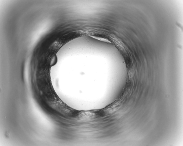 X0000093440429200711021057