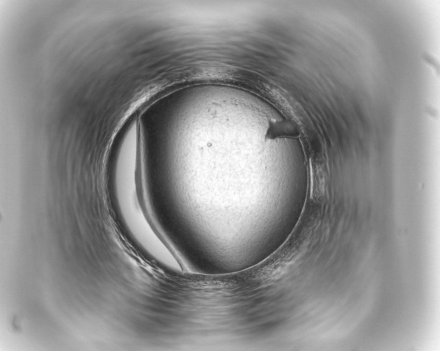 X0000093440435200711021057