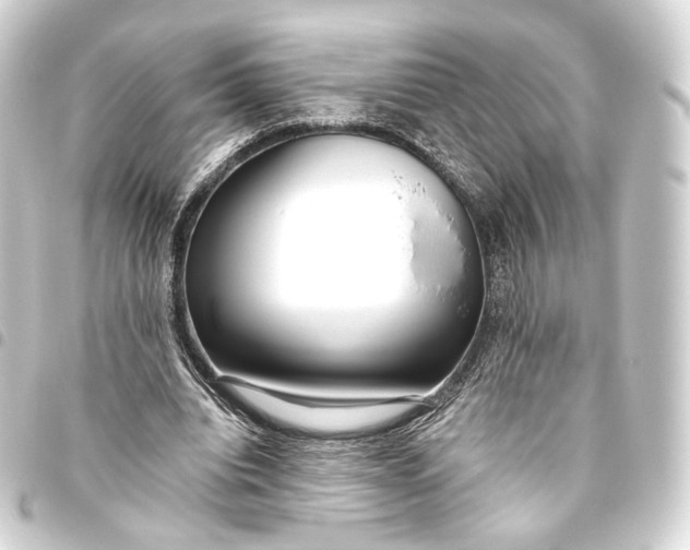 X0000093440440200711021057